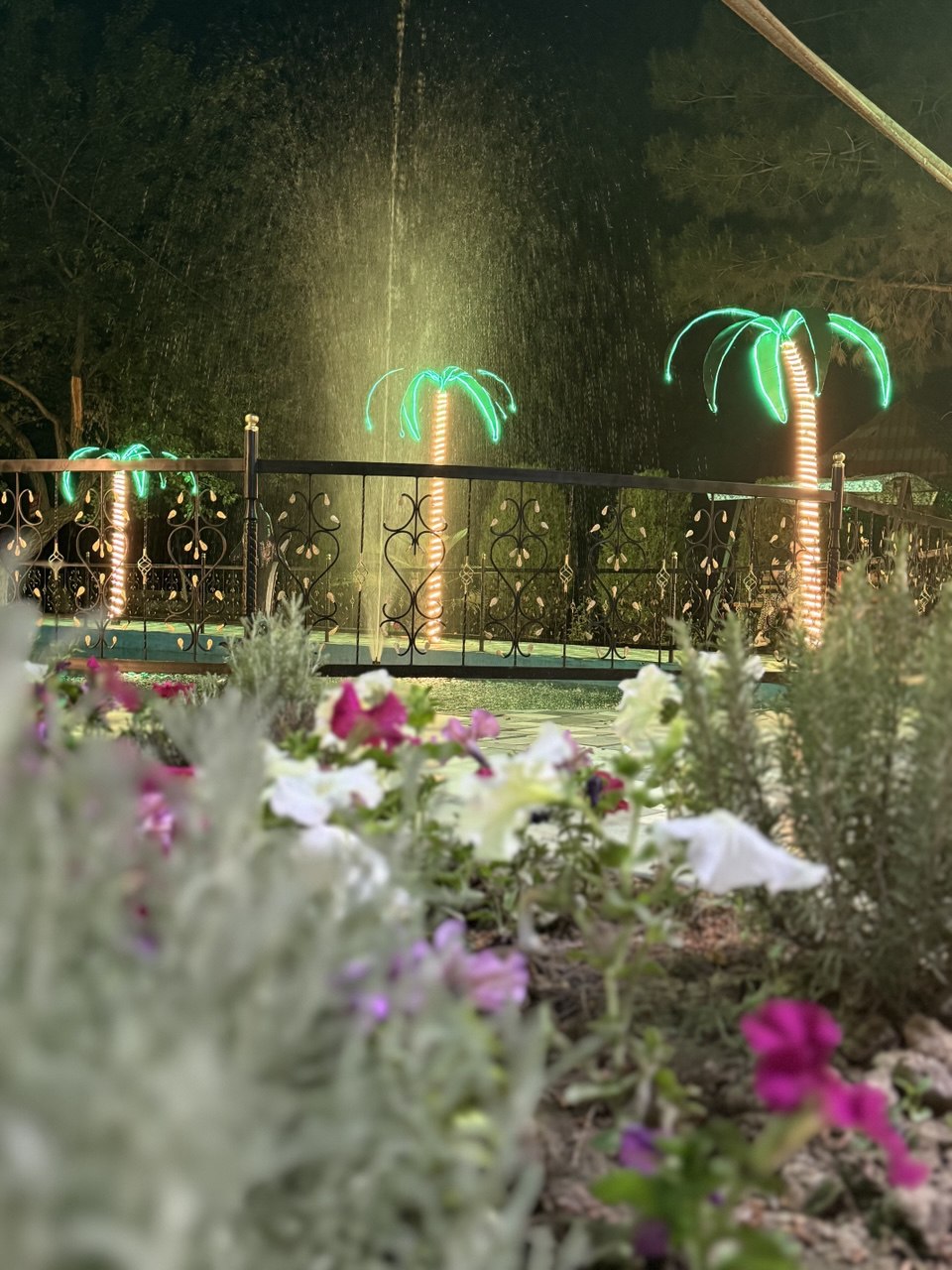 Sanatoriyaning tungi ko'rinishi